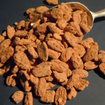 Pecan Pralines