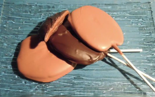 Chocolate Molasses Pops