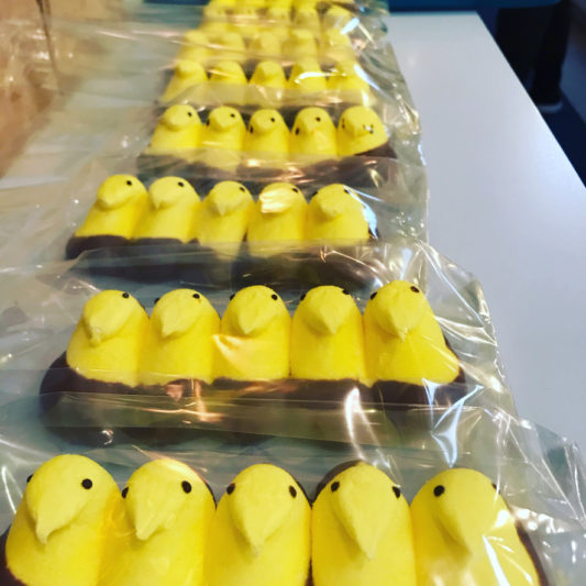 Chocolate dipped marshmallow peeps