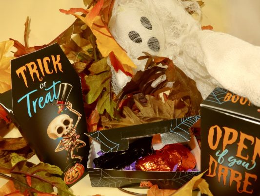 Spooky coffin box with chocolate skull and black cat inside