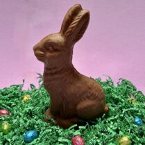 Large sitting Chocolate Rabbit for Easter