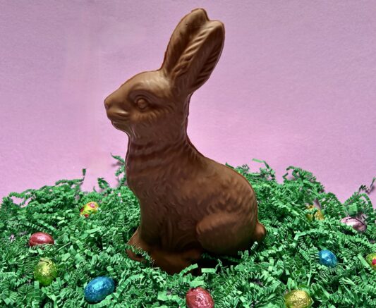 Large sitting Chocolate Rabbit for Easter